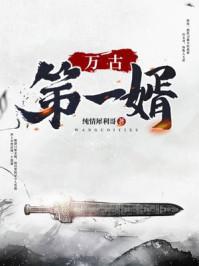 战火与秩序百科