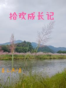 四合院从签到开始崛起