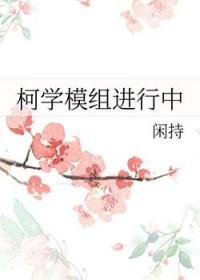 超品相师九灯和善