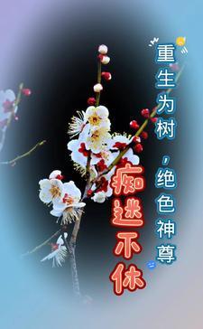 逍遥莫