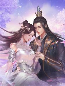 月影灯作者