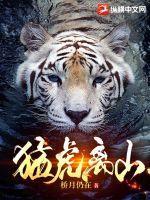 我创造了修仙世界免费阅读