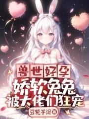 皇朝争霸系统类爽文