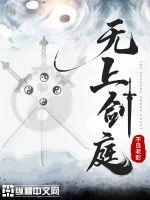 旅风加速器