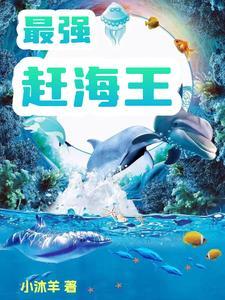 我和完美日记的故事