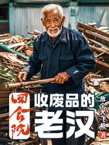 侠少年翻译