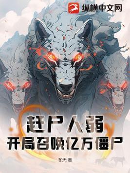 海贼之冰之魔法师