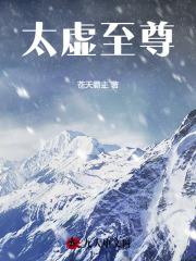绝品护花高手TXT全集