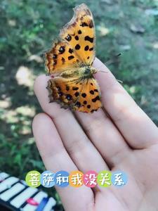 诡异 修仙