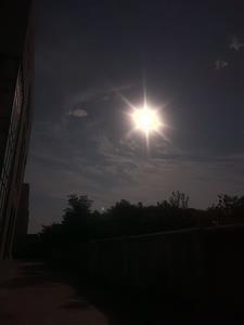 少主下山秦枫