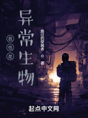 海贼之无敌海军