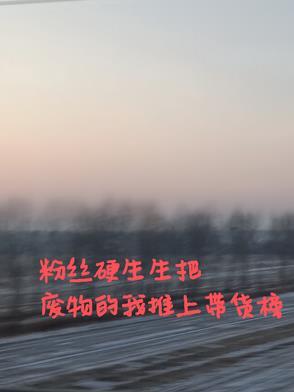 盗门百科