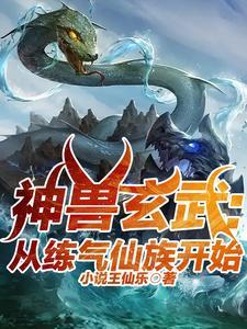 凤谋天下之倾世医妃